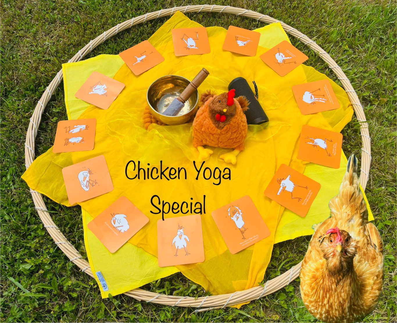 YoliYoga® Special